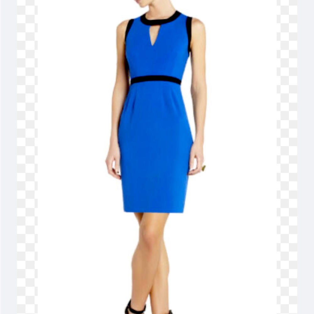 BCBG Max Azria Mollie Dress Size 4